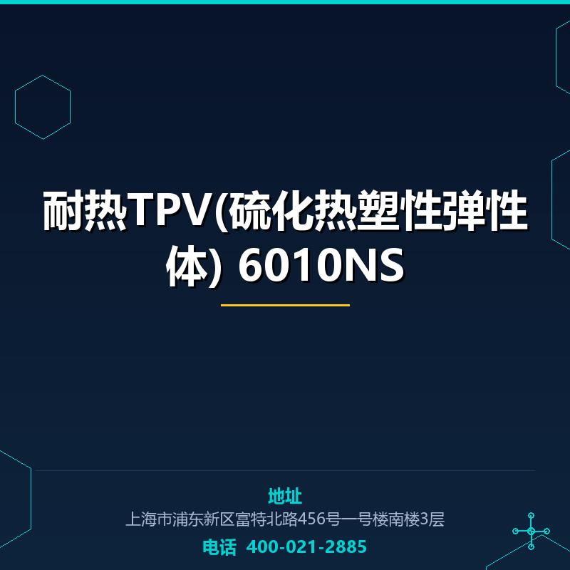 耐热TPV(硫化热塑性弹性体) 6010NS None