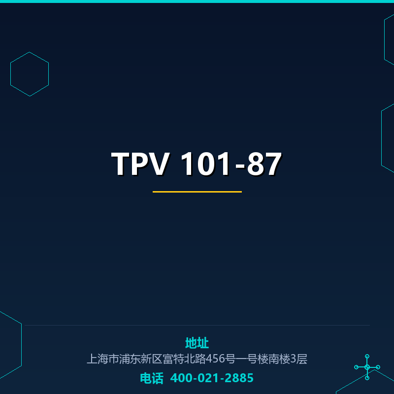 TPV 101-87 None