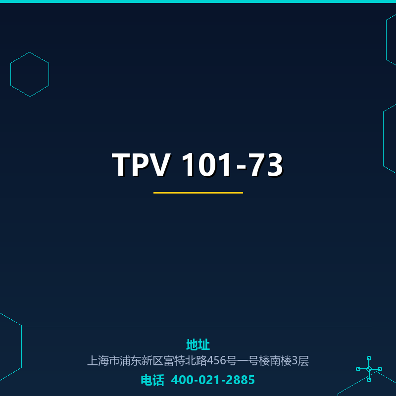 TPV 101-73 None