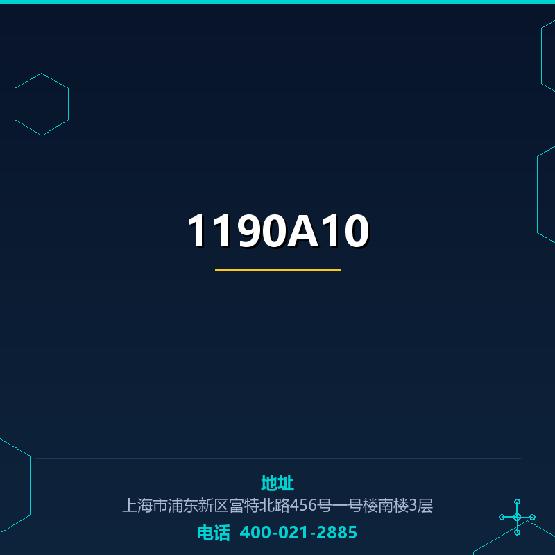 1190A10 None