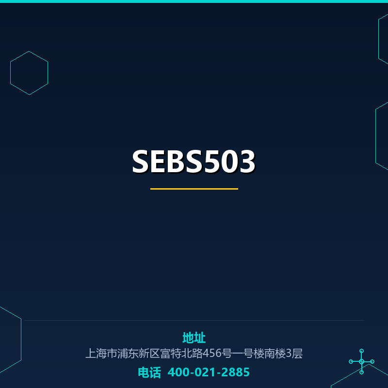 SEBS503 None