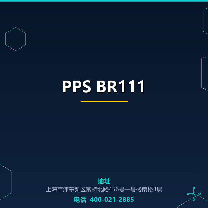 PPS BR111 None