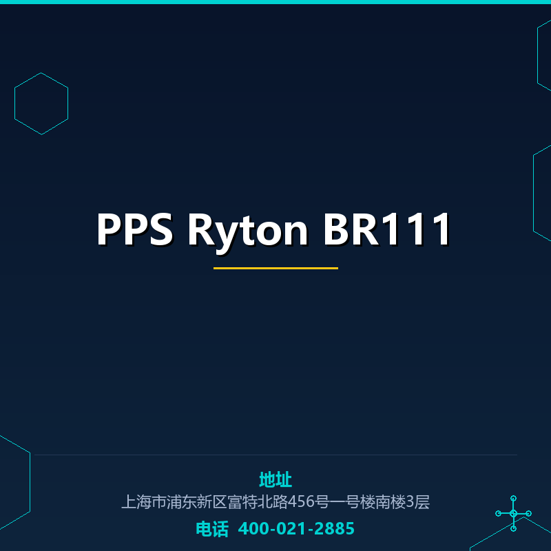 PPS Ryton BR111 None