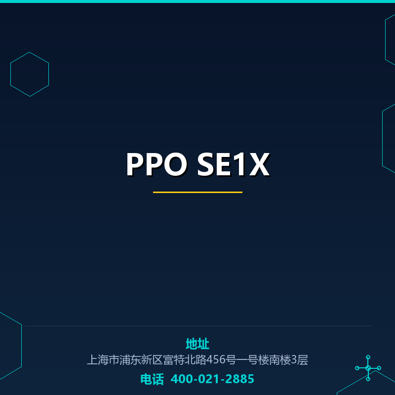 PPO SE1X None