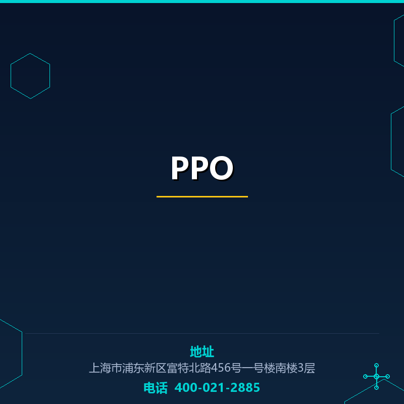 PPO None