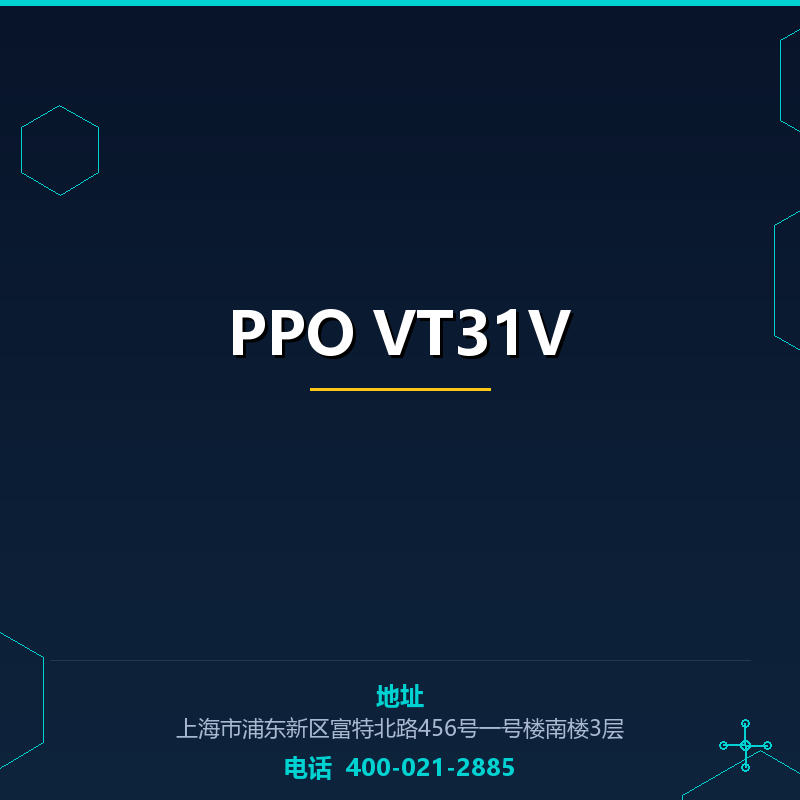 PPO VT31V None