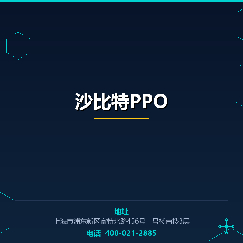 沙比特PPO None
