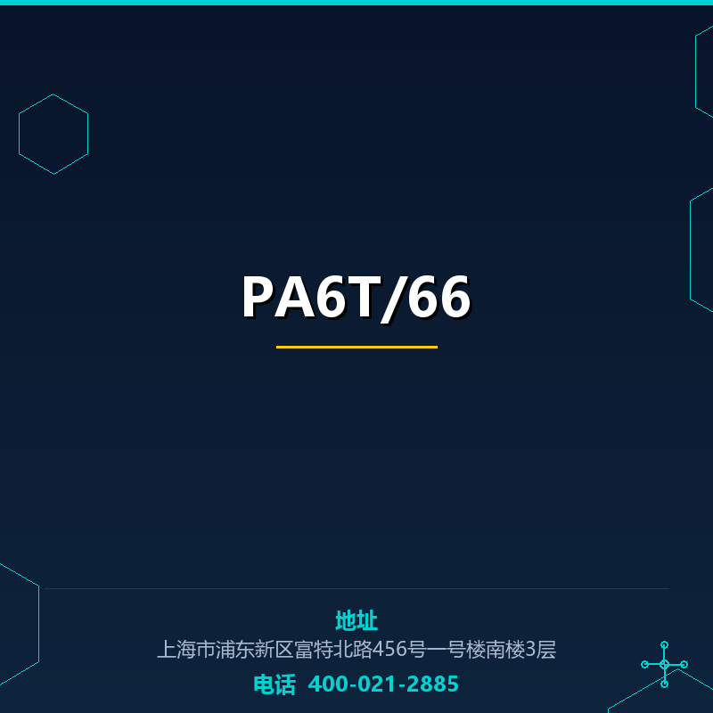 PA6T/66 None