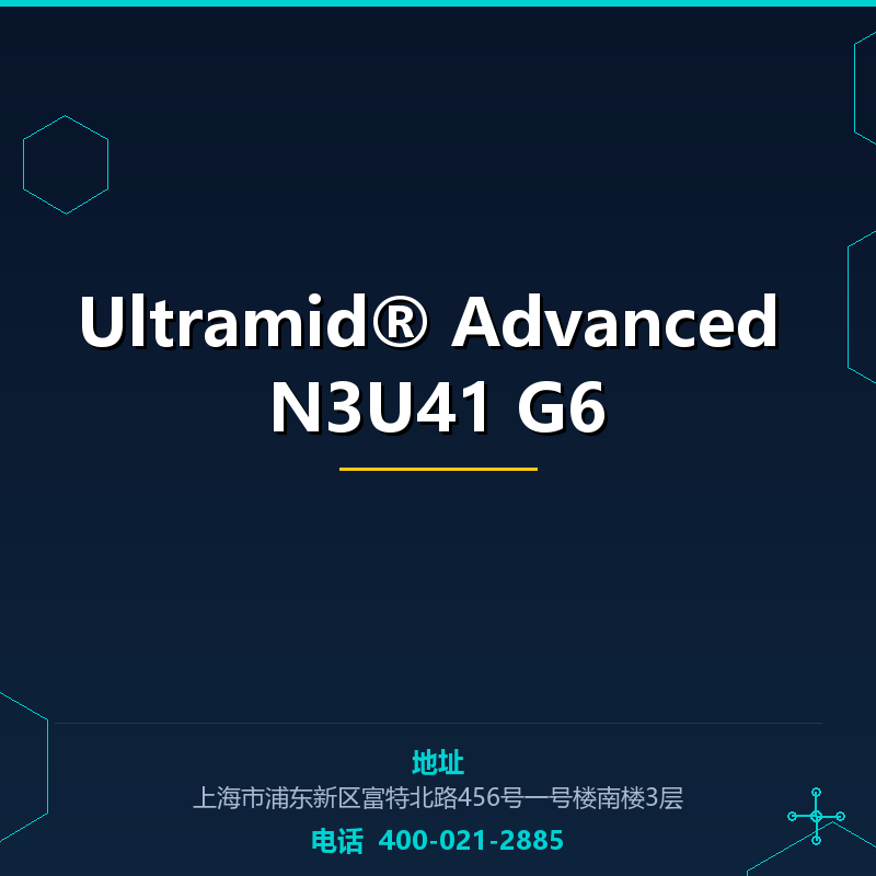 Ultramid® Advanced N3U41 G6 None