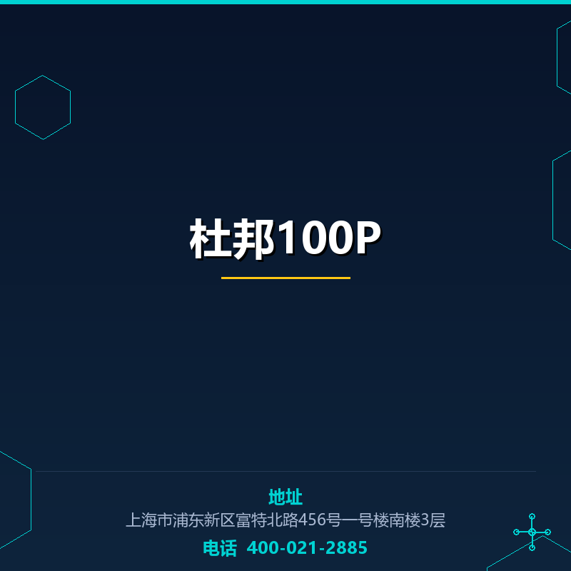 杜邦100P None