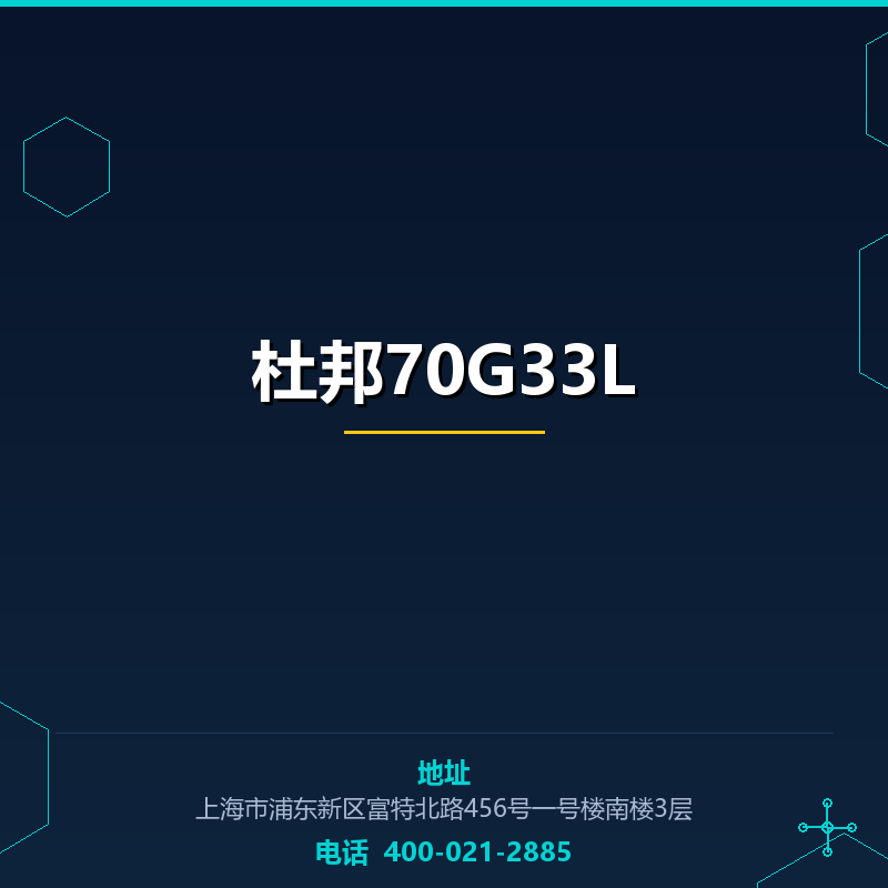 杜邦70G33L None