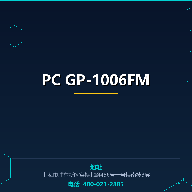 PC GP-1006FM None