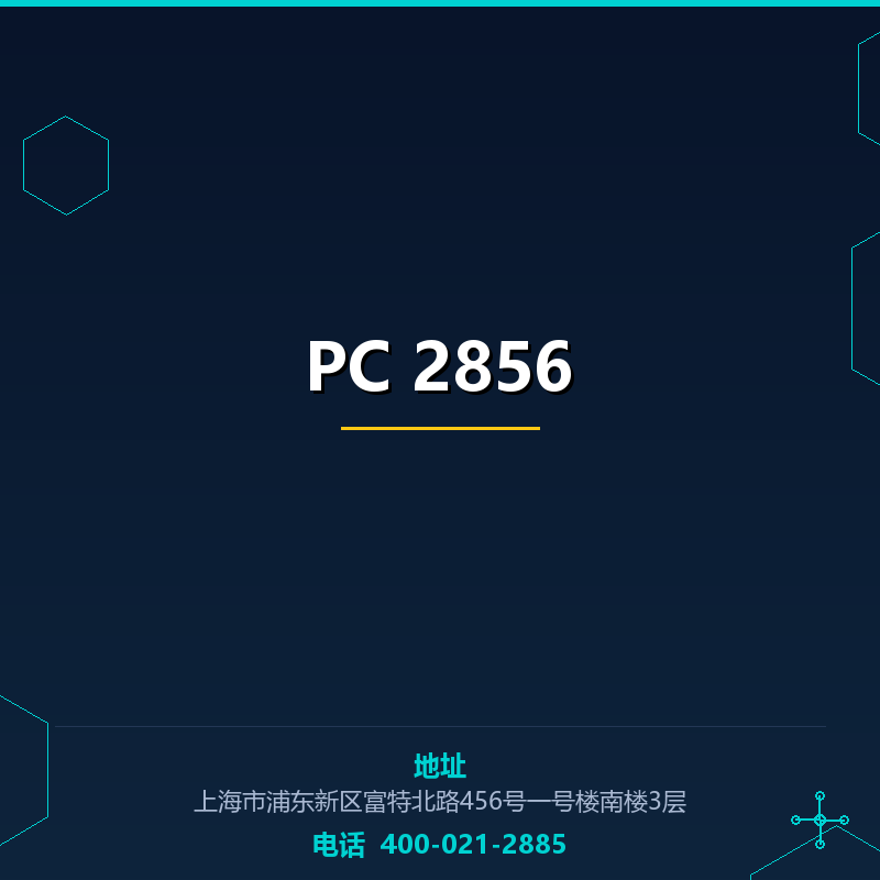 PC 2856 None