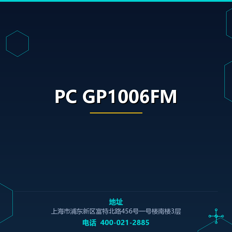 PC GP1006FM None