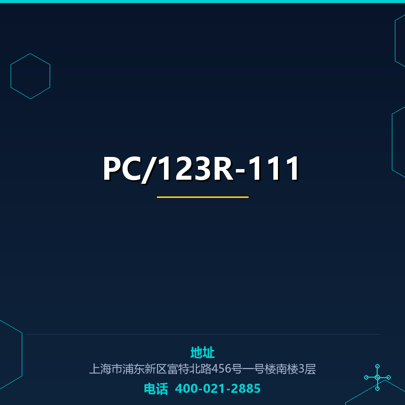 PC/123R-111 None