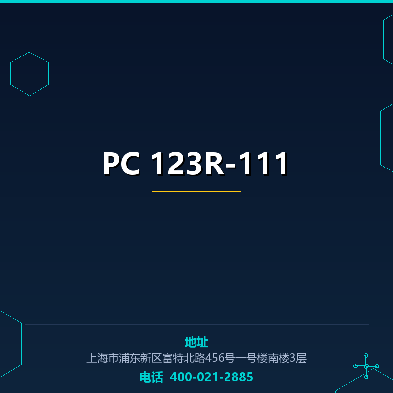 PC 123R-111