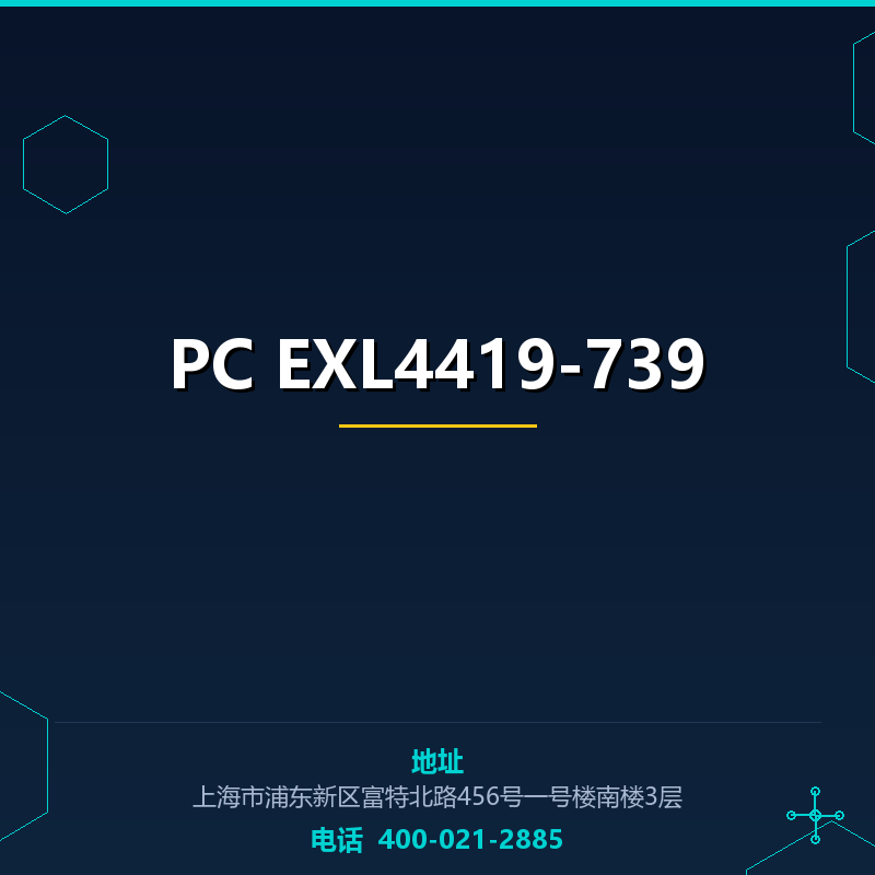 PC EXL4419-739 None