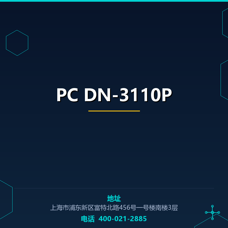PC DN-3110P None