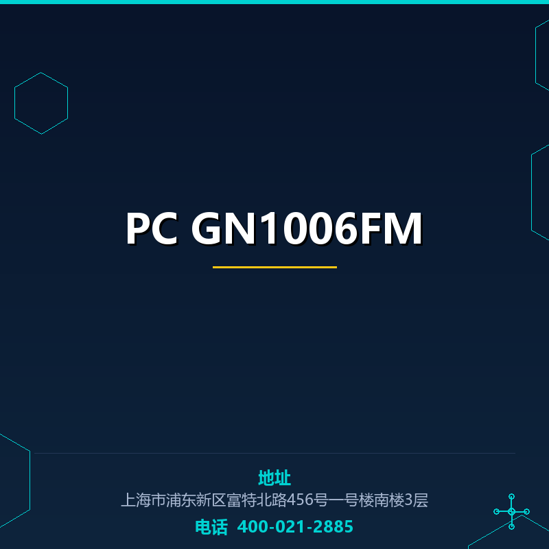 PC GN1006FM None