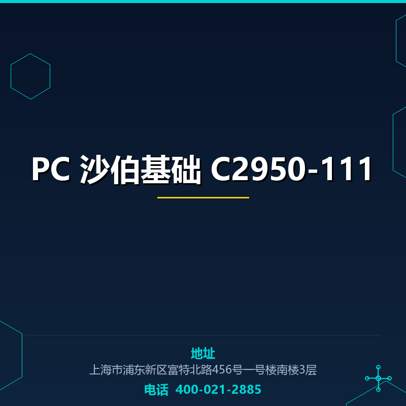 PC 沙伯基础 C2950-111 None