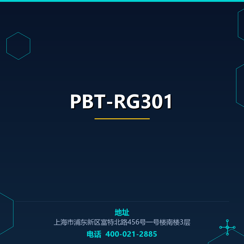 PBT-RG301 None