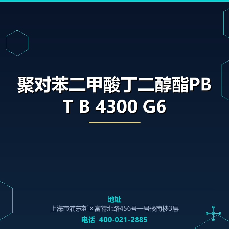 聚对苯二甲酸丁二醇酯PBT B 4300 G6 None