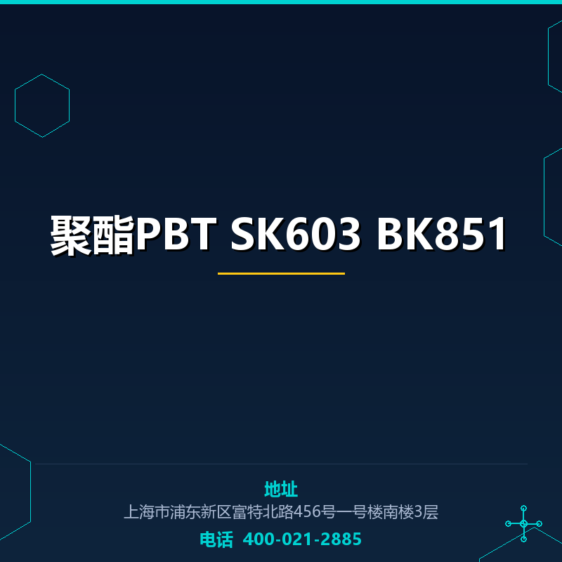聚酯PBT SK603 BK851 None