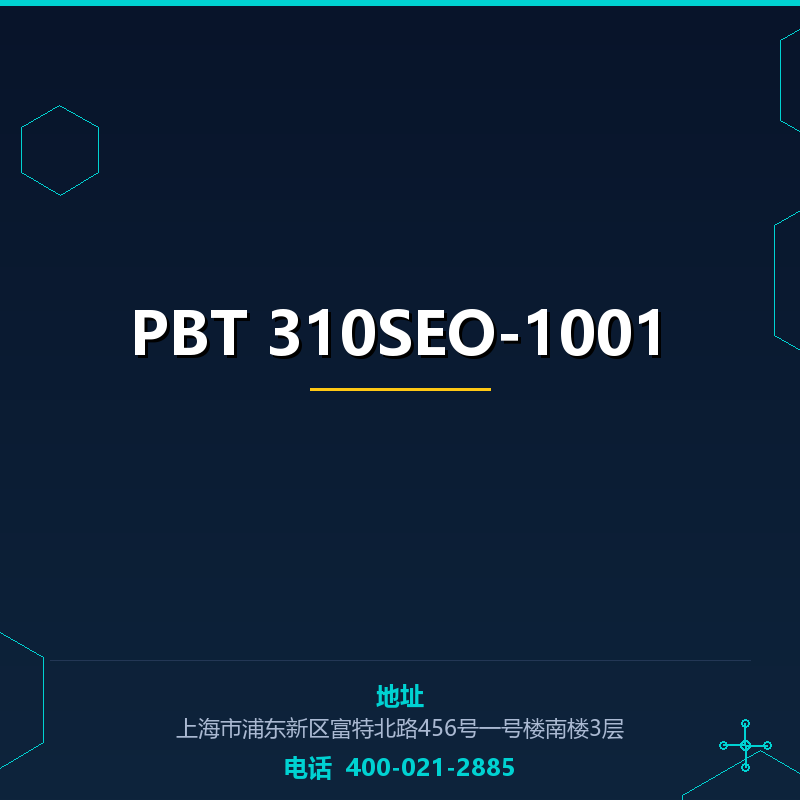 PBT 310SEO-1001 None