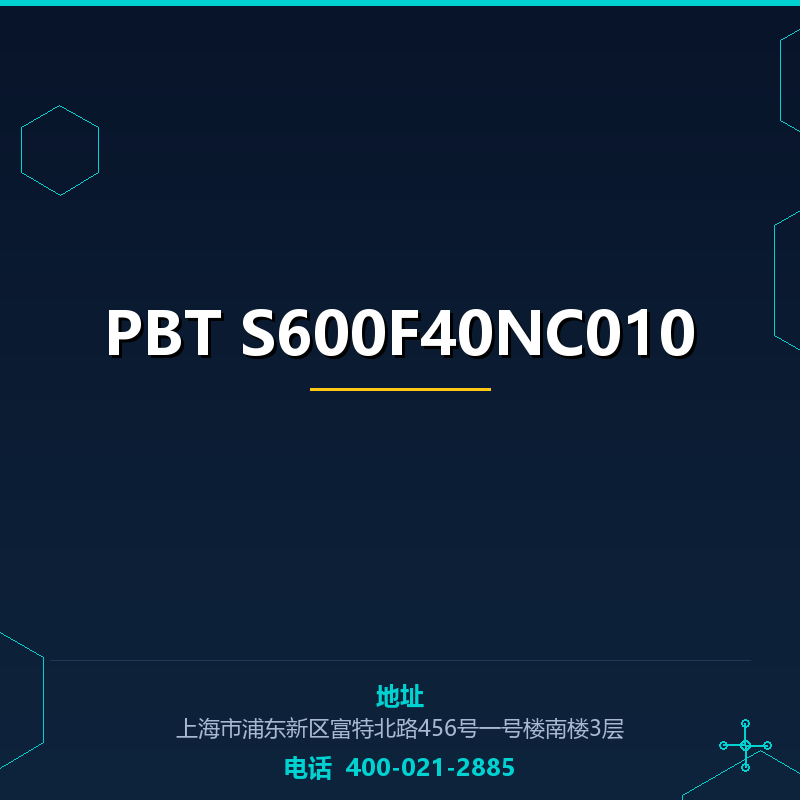 PBT S600F40NC010 None