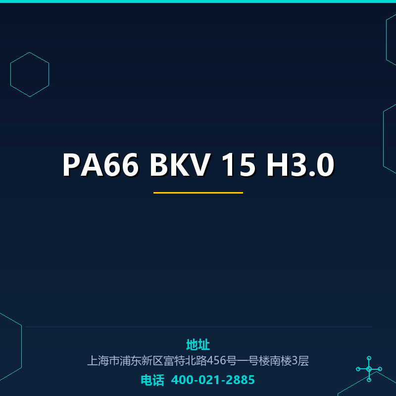PA66 BKV 15 H3.0 None
