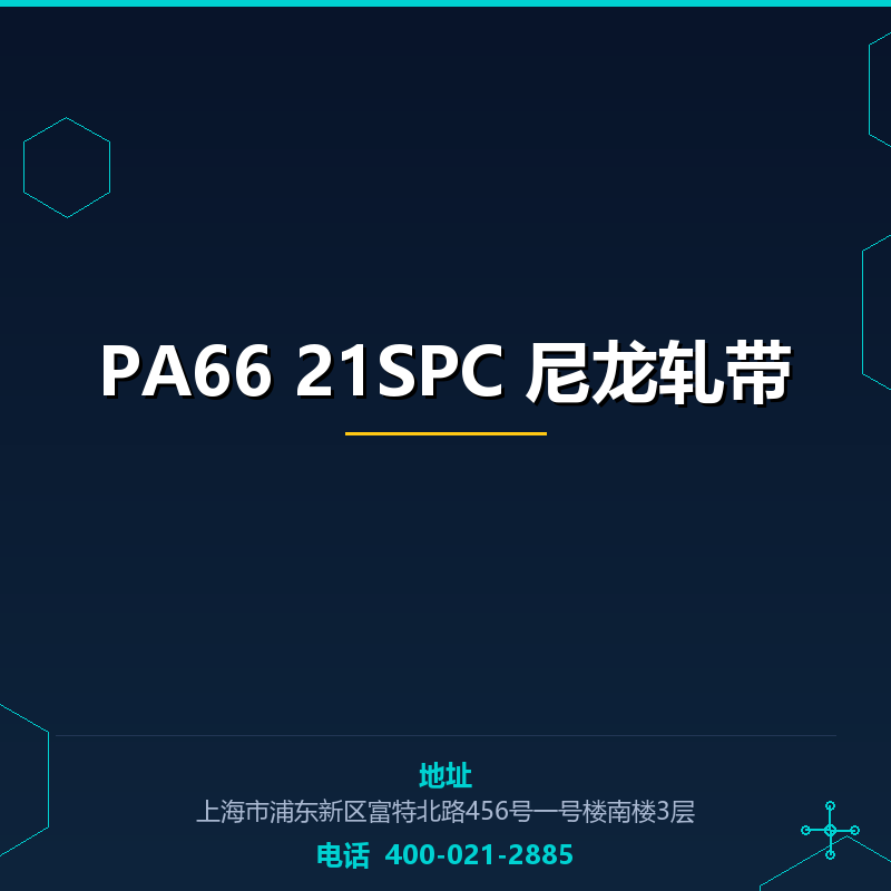 PA66 21SPC 尼龙轧带 None