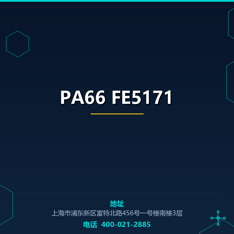 PA66 FE5171 None