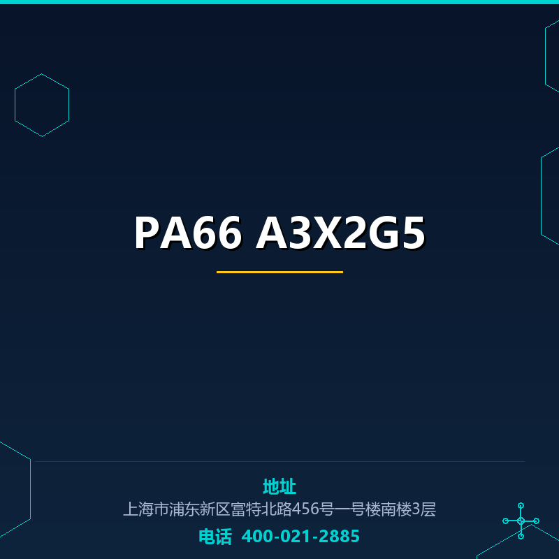 PA66 A3X2G5 None