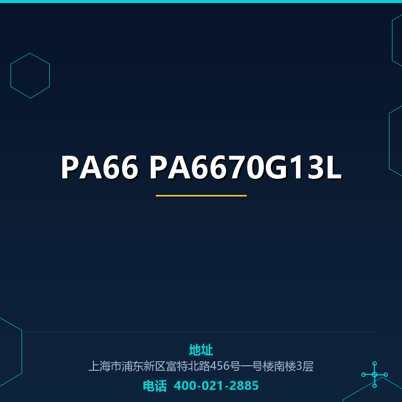 PA66 PA6670G13L None