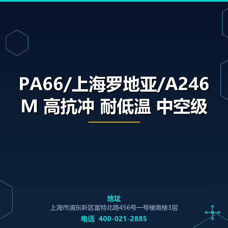 PA66/上海罗地亚/A246M 高抗冲 耐低温 中空级 None