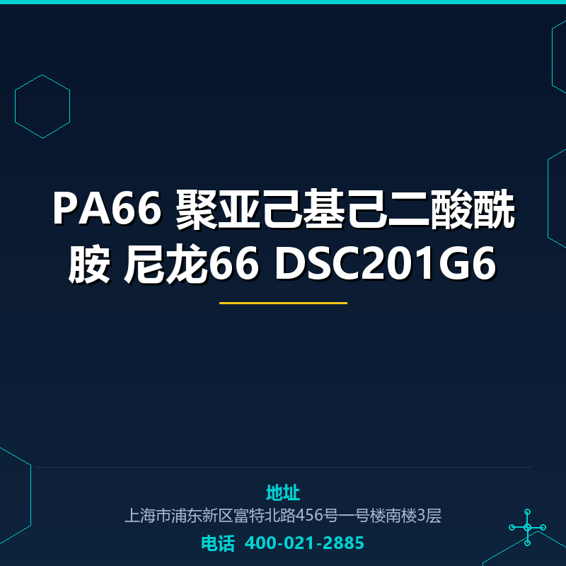 PA66 聚亚己基己二酸酰胺 尼龙66 DSC201G6 None