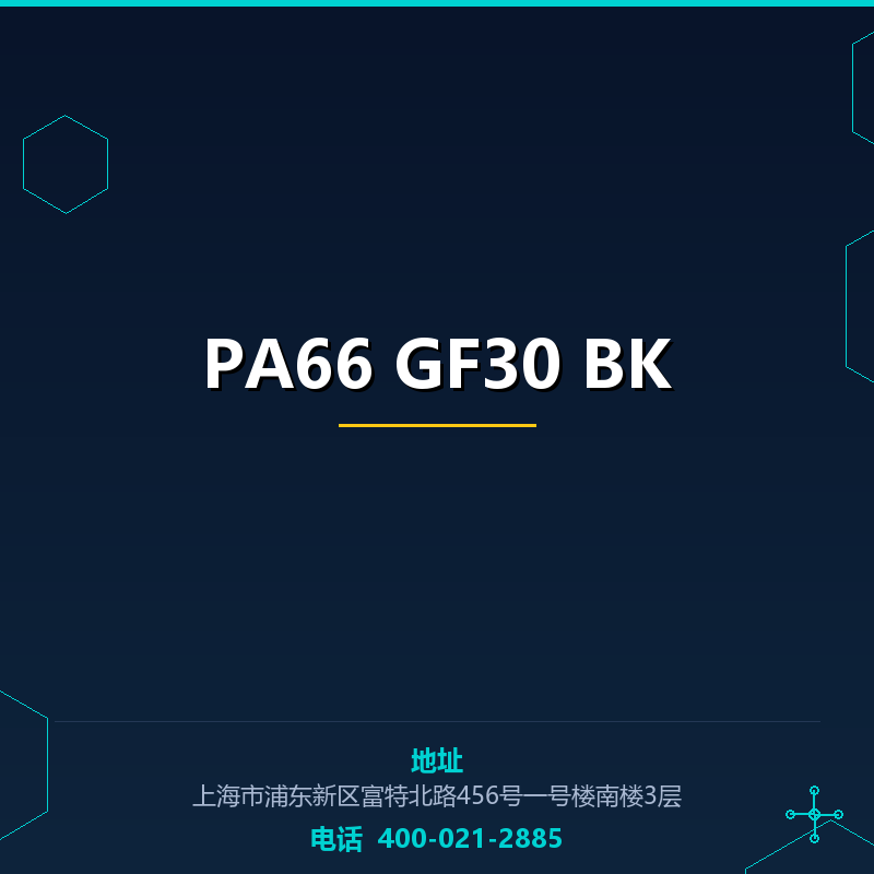 PA66 GF30 BK None