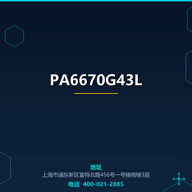 PA6670G43L None
