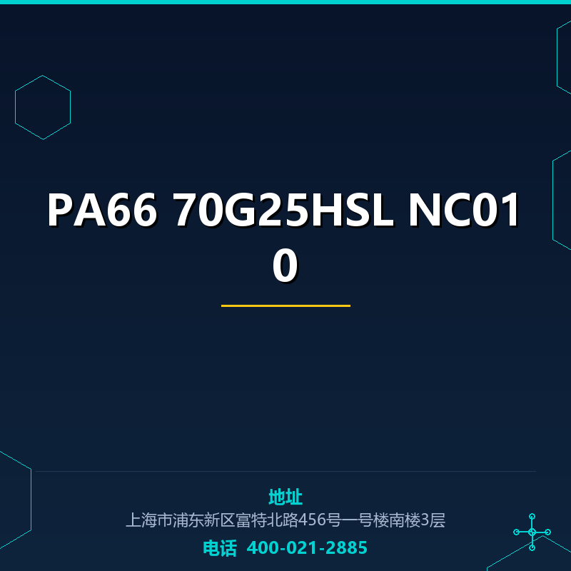 PA66 70G25HSL NC010 None