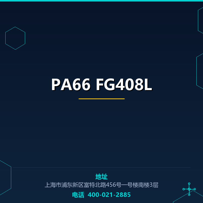 PA66 FG408L