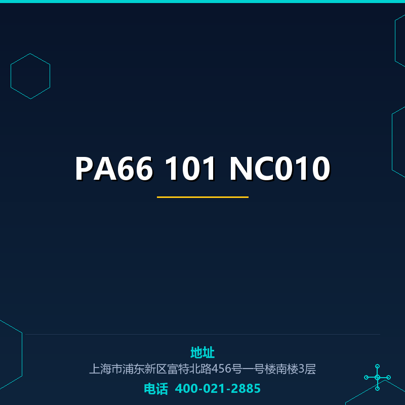 PA66 101 NC010 None