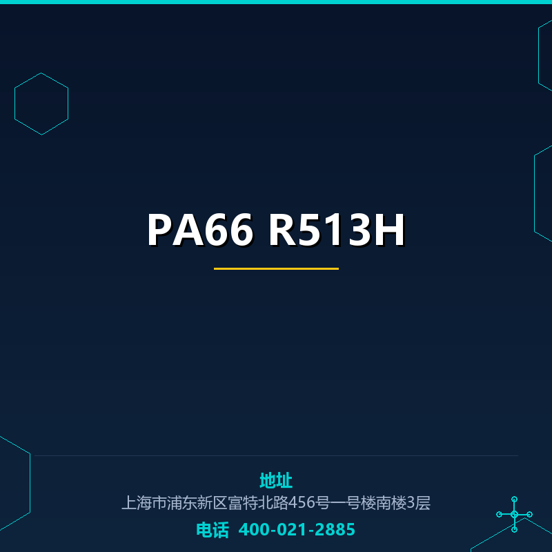 PA66 R513H None