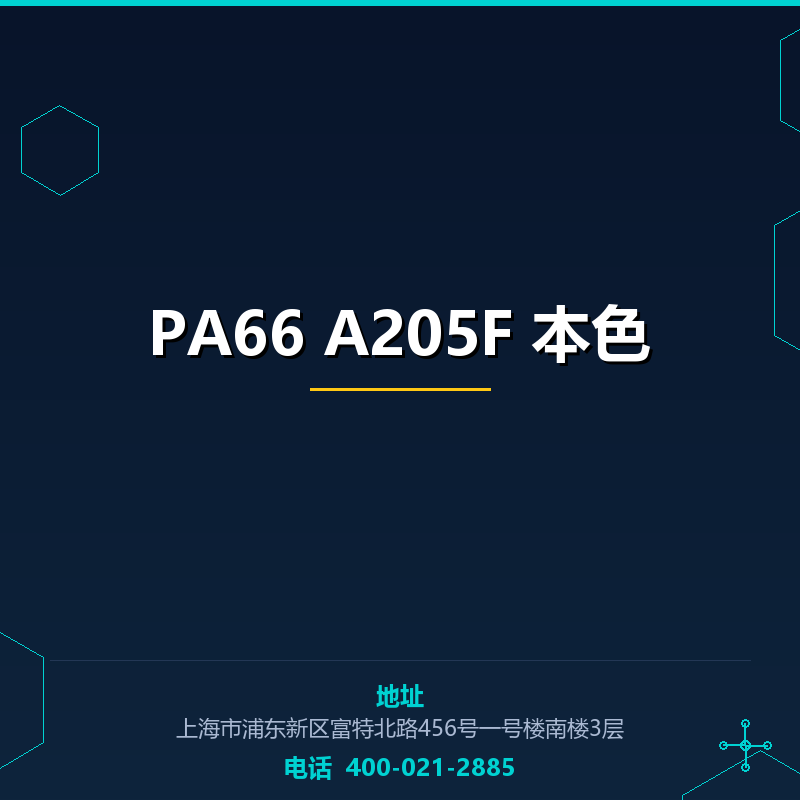 PA66 A205F 本色 None
