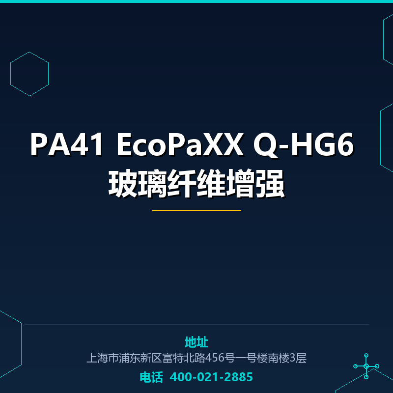 PA41 EcoPaXX Q-HG6 玻璃纤维增强 None