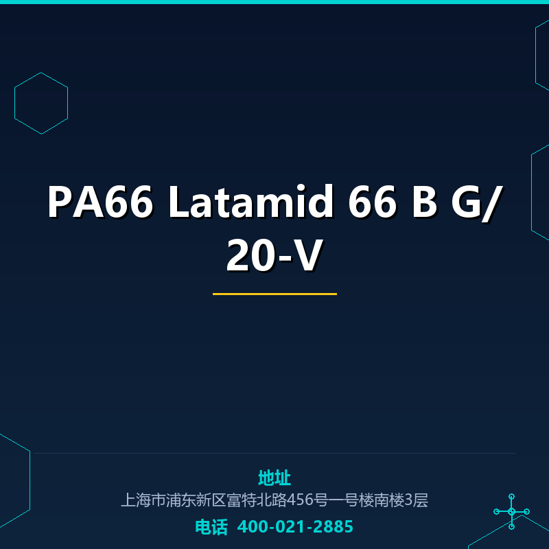 PA66 Latamid 66 B G/20-V None