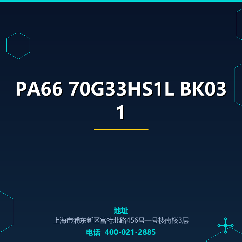 PA66 70G33HS1L BK031