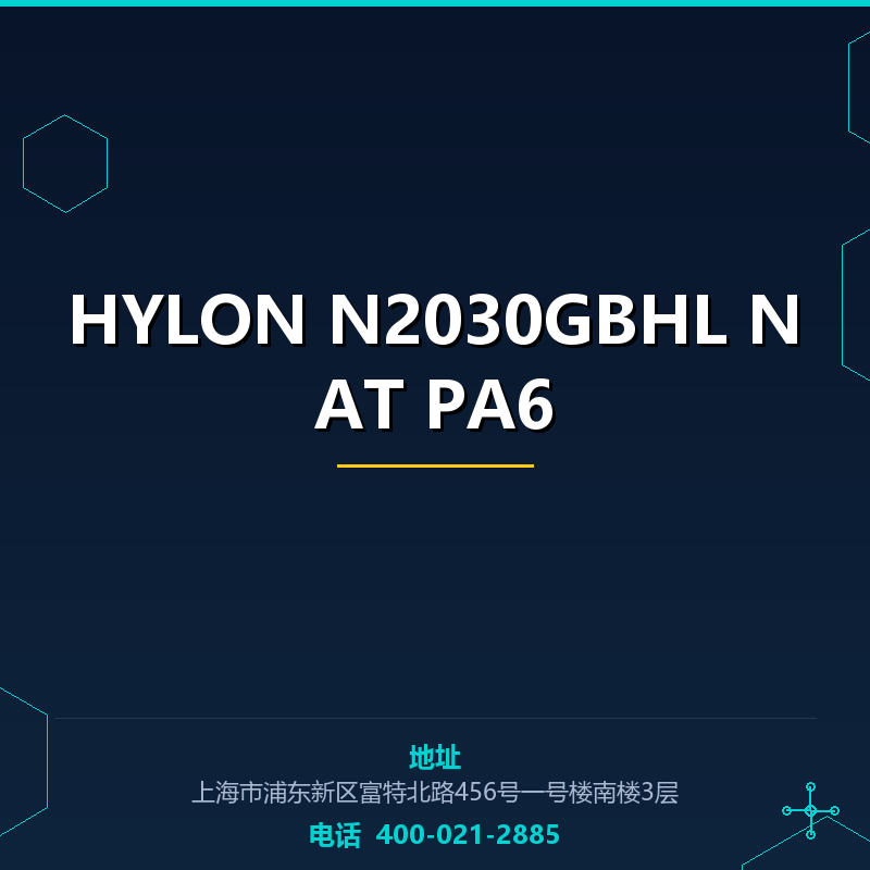 HYLON N2030GBHL NAT PA6 None