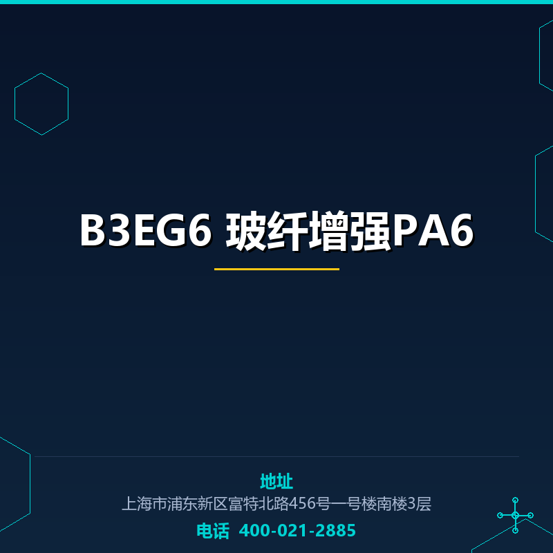 B3EG6 30%玻纤增强PA6 None
