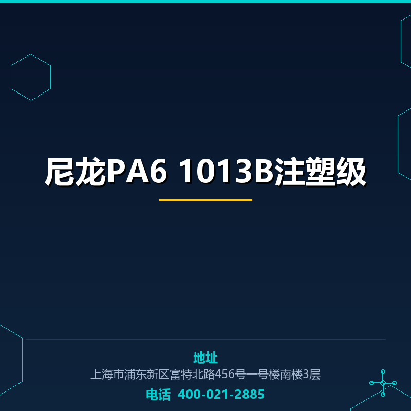 尼龙PA6 1013B注塑级 None