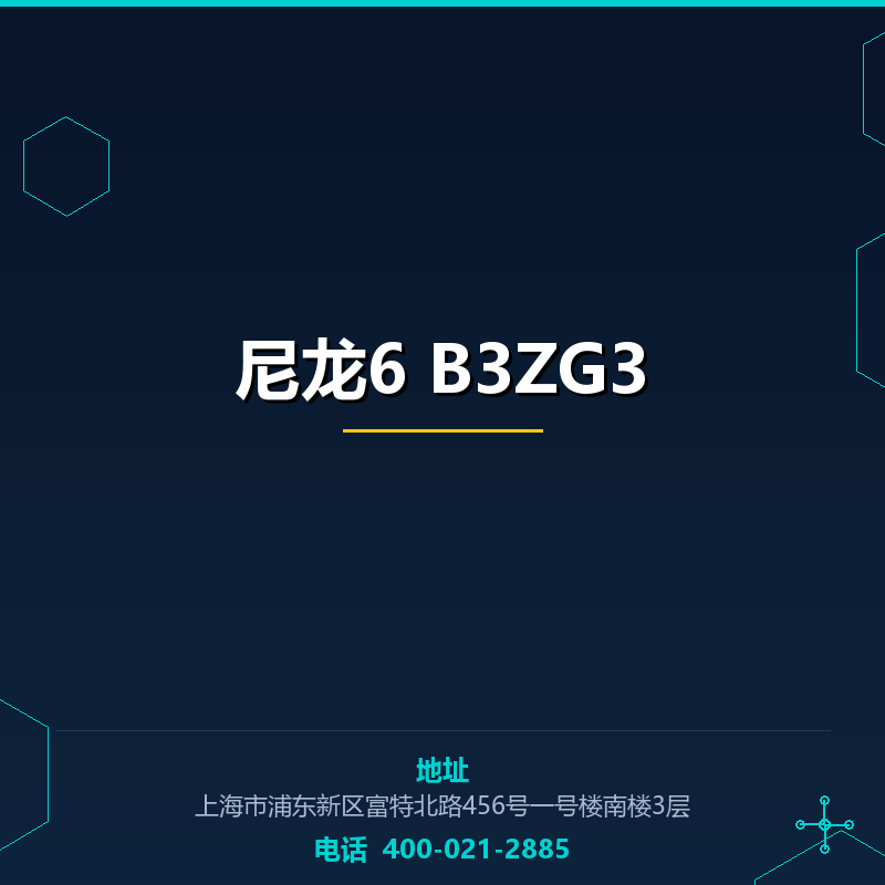 尼龙6 B3ZG3 None